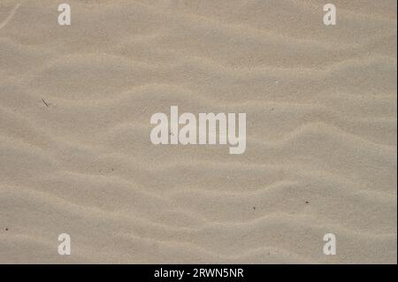 Wellige Sandstruktur. Windspuren auf dem Strandsand. Blick von oben. Stockfoto