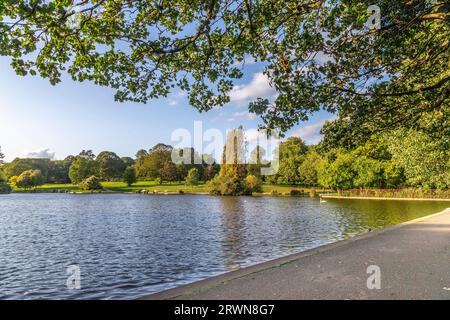 Sonniger Spätnachmittag mit Blick auf den See in Abinton Park, Northampton, Northamptonshire, England, Großbritannien. Stockfoto
