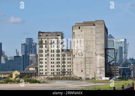 Blick nach Westen auf das Millennium Mills Gebäude in der Silvertown Regenerationszone nach dem Abriss der Rank Hovis Premier Mill. Stockfoto