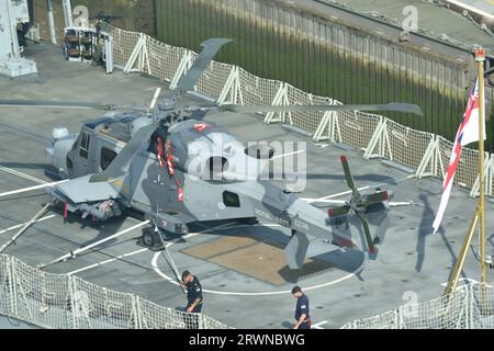 Royal Navy Fleet Air Arm AgustaWestland AW159 Wildcat ZZ518 auf dem Heck der HMS IRON DUKE, einer Typ 23-Fregatte, während der Teilnahme an der zweijährlichen Messe Defence and Security Equipment International (DSEI). Stockfoto