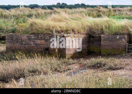 Überreste einer Pillenschachtel aus dem Zweiten Weltkrieg auf Titchwell Marsh. Es wird angenommen, dass es sich um eine Variante einer Pillbox vom Typ 23 handelt, die in Verbindung mit einem lokalen Bombenangriff eingesetzt wird. Stockfoto