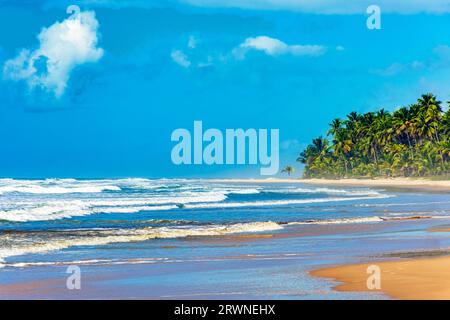 Wunderschöner, vollständig verlassener Sargi Strand, umgeben von Kokosnussbäumen an einem sonnigen Tag in Serra Grande an der Südküste von Bahia, Brasilien Stockfoto