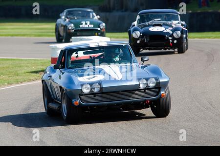 1964 Chevrolet Corvette Stingray im Royal Automobile Club TT Celebration Rennen auf dem Goodwood Revival Meeting 9. September 2023 in Chichester, Englan Stockfoto