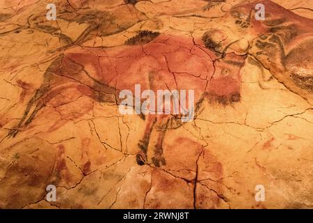 Pinturas de la cueva de Altamira, Kantabrien Stockfoto