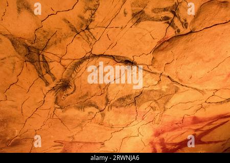 Pinturas de la cueva de Altamira, Kantabrien Stockfoto