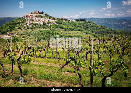 Motovun (italienisch Montona oder Montona d’Istria) ist ein Dorf auf einem Hügel, umgeben von Weinbergen in Zentral-Istrien, Kroatien. Stockfoto