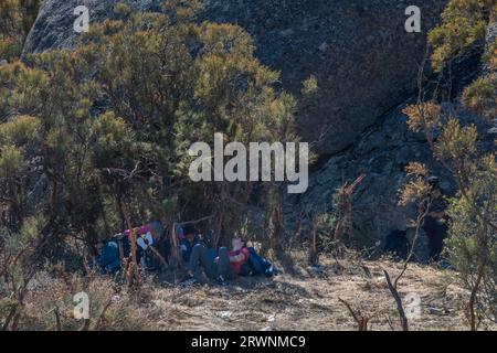 San Diego, USA. September 2023. Migranten werden abgesetzt, um in der Wüste bei Jacumba im Fernen Osten von San Diego Couty zu warten, und werden gezwungen, Schutz vor der rauen Wüstensonne aus der Chaparral-Bürste zu schaffen, 19. September 2023. (Matthew Bowler/KPBS/SIPA USA) **KEINE VERKÄUFE IN SAN DIEGO-SAN DIEGO OUT** Kredit: SIPA USA/Alamy Live News Stockfoto