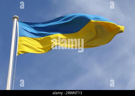 Ukrainische Flagge über Downing Street No 10, London, UK Stockfoto