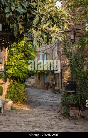 Das schöne kroatische Bergdorf Grožnjan in der Region Istrien. Stockfoto