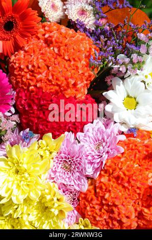 Bunte Blumen mit vielen farbigen Blüten, die einen schönen Hintergrund bilden, ideal als Hintergrund für die Natur Stockfoto