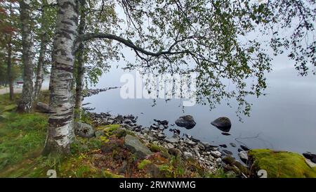 Wenn der Morgennebel versucht, sich vom See zu heben und die Sonne auszulassen. Stockfoto