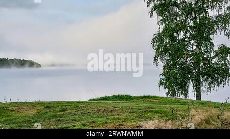 Wenn der Morgennebel versucht, sich vom See zu heben und die Sonne auszulassen. Stockfoto