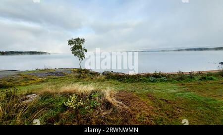 Wenn der Morgennebel versucht, sich vom See zu heben und die Sonne auszulassen. Stockfoto