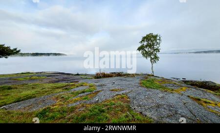 Wenn der Morgennebel versucht, sich vom See zu heben und die Sonne auszulassen. Stockfoto