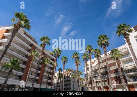 Montpellier, Frankreich - 09 18 2023 : Stadtansicht zeitgenössischer Wohnarchitektur mit Palmen im modernen Stadtteil Port Marianne Stockfoto