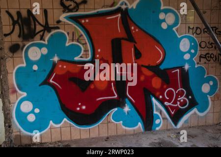 Altes Schwimmbad, voll mit Müll, Müll, bewachsene Anlage in italien, Cesarno moderna Stockfoto