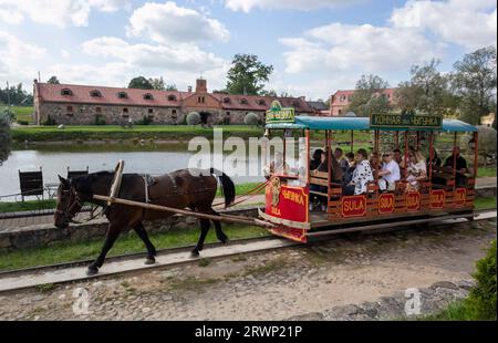 Belarus, Sula, 17. September 2023. Eine Pferdekutsche fährt durch den ersten teraktiven Geschichtspark in Belarus, das Großherzogtum Sula Stockfoto