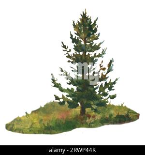 Grüne Fichte, Tanne auf Rasen Hand gezeichnet in Aquarell isoliert auf weißem Hintergrund. Weihnachtsbaum. Aquarellzeichnung. Stockfoto