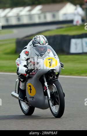 Freddie Sheene am 1962 Norton Manx 30M (auch geritten von Steve Parrish), in der Barry Sheene Memorial Trophy beim Goodwood Revival Meeting am 8. September Stockfoto