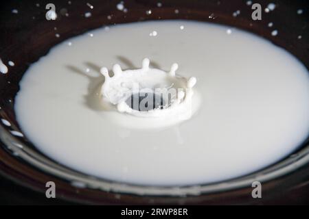 Ein einzelner Milchtropfen, der in die Schüssel spritzt, wodurch eine Milchkrone oder ein Krönchen entsteht Stockfoto