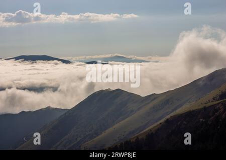 Nebelwolke auf dem Berggipfel, Wiesenlandschaft Stockfoto