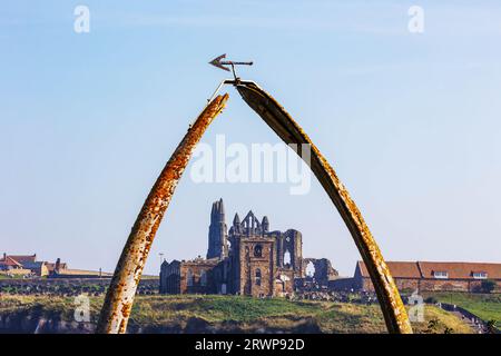 Whitby Abbey durch die Walknochen an einem ungewöhnlich heißen und trüben sonnigen Samstag im September gesehen Stockfoto