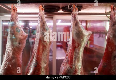 Geschlachtete Schweinekadaver hängen in einer Metzgerei. Stockfoto