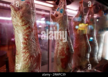 Geschlachtete Schweinekadaver hängen in einer Metzgerei. Stockfoto