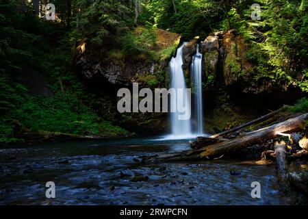 Der Iron Creek stürzt über die Iron Creek Falls im Gifford Pinchot National Forest in der Nähe von Mt. St. Helens Stockfoto