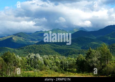 Wunderschöne Naturlandschaft mit einem Teil der Fagaras Berge bedeckt mit Laub- und Tannenwäldern und bewölktem Himmel am Sommertag Stockfoto
