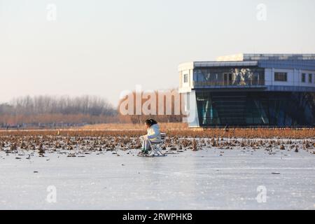 LUANNAN COUNTY, China - 16. Januar 2022: Die Besucher laufen im Park, Nordchina Stockfoto