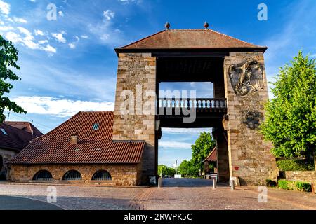 Deutsches Weintor an der deutschen Weinstraße in Rheinland-Pfalz Stockfoto