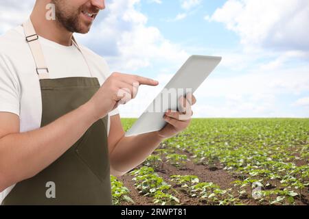 Farmer mit Tablet-Computer im Feld, Nahaufnahme. Erntesaison Stockfoto