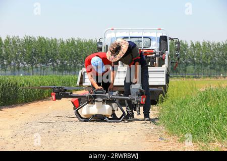 LUANNAN COUNTY, China - 16. Mai 2022: Techniker, die Batterien für Pflanzenschutz-UAVs ersetzen, Nordchina Stockfoto