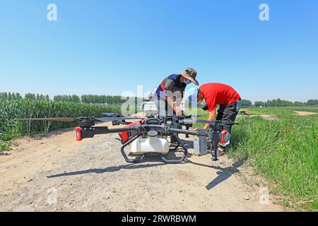 LUANNAN COUNTY, China - 16. Mai 2022: Techniker, die Batterien für Pflanzenschutz-UAVs ersetzen, Nordchina Stockfoto