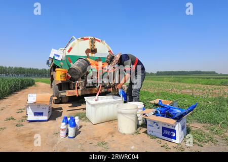 LUANNAN COUNTY, China - 16. Mai 2022: Techniker bereiten die Lösung für die Bekämpfung von Weizenschädlingen in Nordchina vor Stockfoto