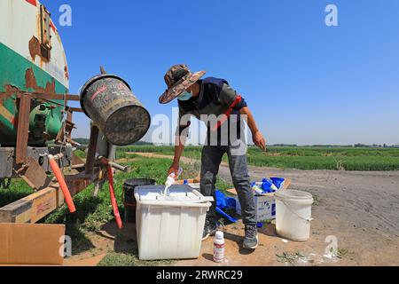 LUANNAN COUNTY, China - 16. Mai 2022: Techniker bereiten die Lösung für die Bekämpfung von Weizenschädlingen in Nordchina vor Stockfoto