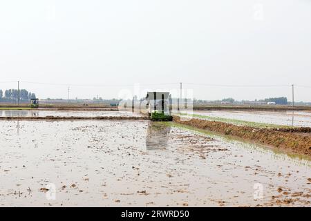 LUANNAN COUNTY, China - 18. Mai 2022: Farmers use Machine to transplant rice Setzlings, North China Stockfoto