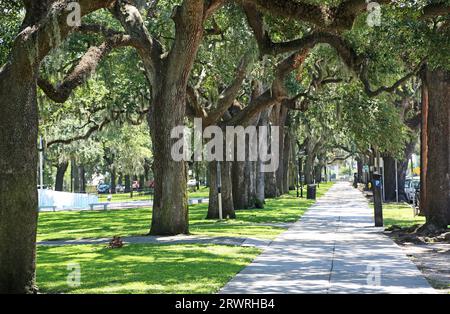 Gasse im Emmet Park - Savannah, Georgia Stockfoto