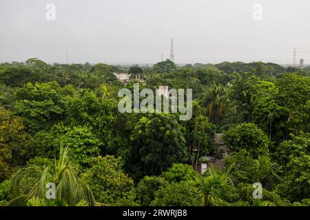 Arial View Green Forest Photography aus Ruhitpur, Bangladesch, am 05. September 2022 Stockfoto