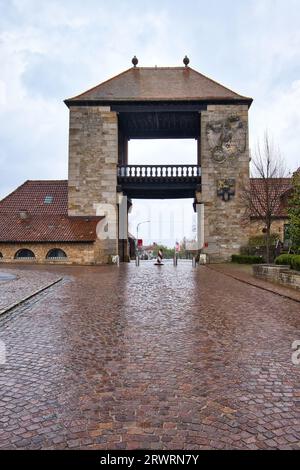 Schweigen-Rechtenbach, Deutschland - 5. April 2021: Deutsches Weintor, an einem regnerischen Tag in Schweigen Rechtenbach, Deutschland. Stockfoto