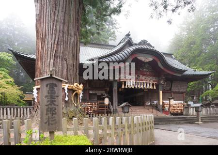 Kitaguchi Hongu Fuji Sengen Schrein und Fuji Taro Zedernholz Stockfoto