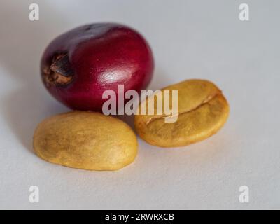 Ein reifer roter Kaffee Kirschfrucht und zwei Bohnen oder Samen von innen, Nahaufnahme Stockfoto