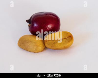 Ein reifer roter Kaffee Kirschfrucht und zwei Bohnen oder Samen von innen, Nahaufnahme Stockfoto