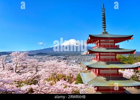 Fuji und fünfstöckige Pagode mit Kirschblüten Stockfoto
