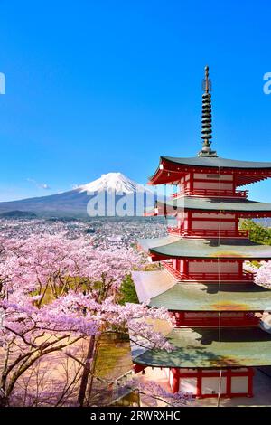 Fuji and Five-Story Pagoda with Cherry Blossoms Stockfoto