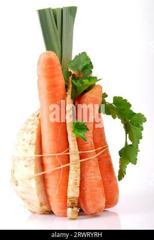 Suppe grün vor weißem Hintergrund Stockfoto