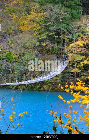 Sunmatakyo Dream Suspension Bridge Stockfoto