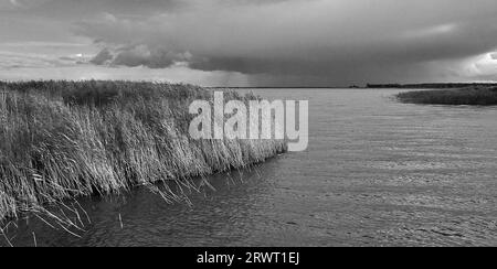 Am Saaler Bodden, Ahrenshoop Hafen, Fischland-Darss, Mecklenburg-Vorpommern Stockfoto