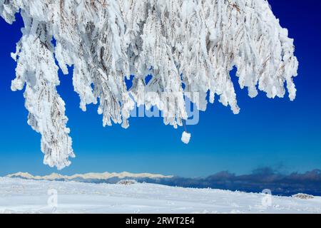 Fernblick auf juhyō und die Hakuba-Bergkette Stockfoto